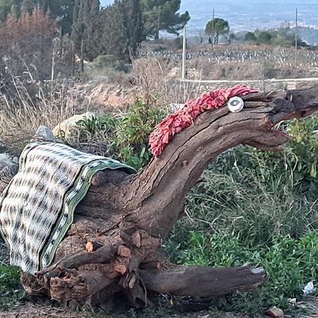 Villa Ca La Maria Lilla Esterno foto